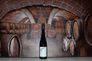 Riesling Vision Wachau Reserve 2011 - Weingut FJ Gritsch Mauritiushof